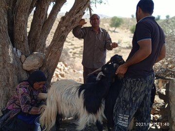 منطقه عشایری گرگوی بویراحمد ؛ کوچ نشینی در حاشیه شهر