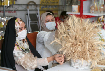 افتتاح طرح ملی مرکز ساماندهی مشاغل خانگی درالبرز