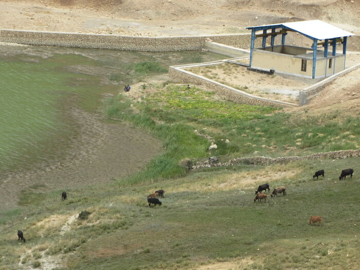 هنرنمایی طبیعت در اردیبهشت کهگیلویه و بویراحمد