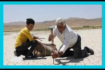 مستند ایرانی در جشنواره‌ قدیمی محیط زیست جهان اکران می‌شود