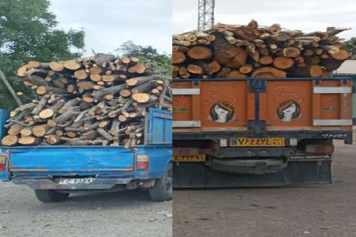چهار تن چوب‌آلات جنگلی قاچاق در اردبیل کشف شد