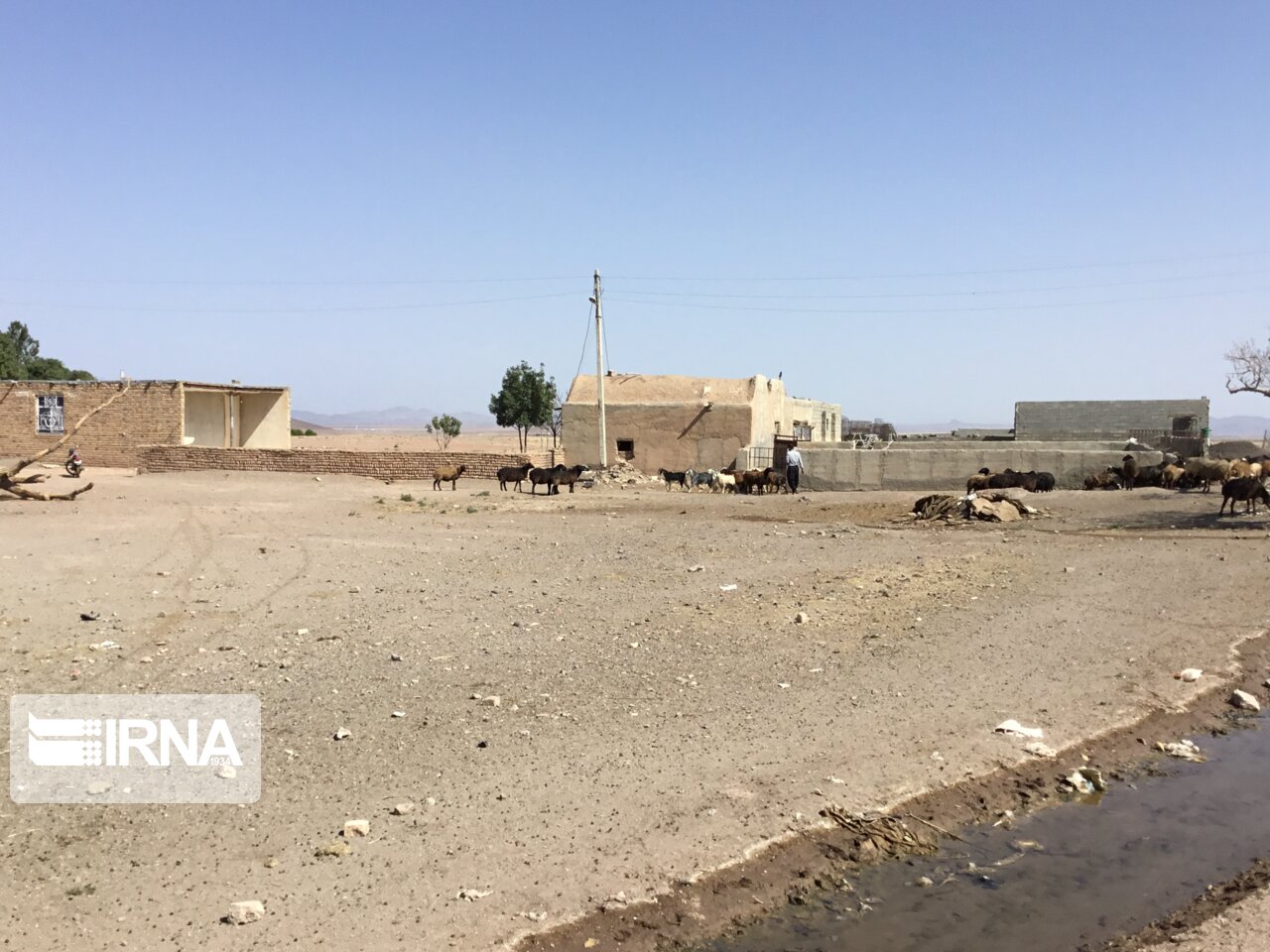 سفر وزیر جهاد کشاورزی به مناطق عشایری شهرستان زرندیه