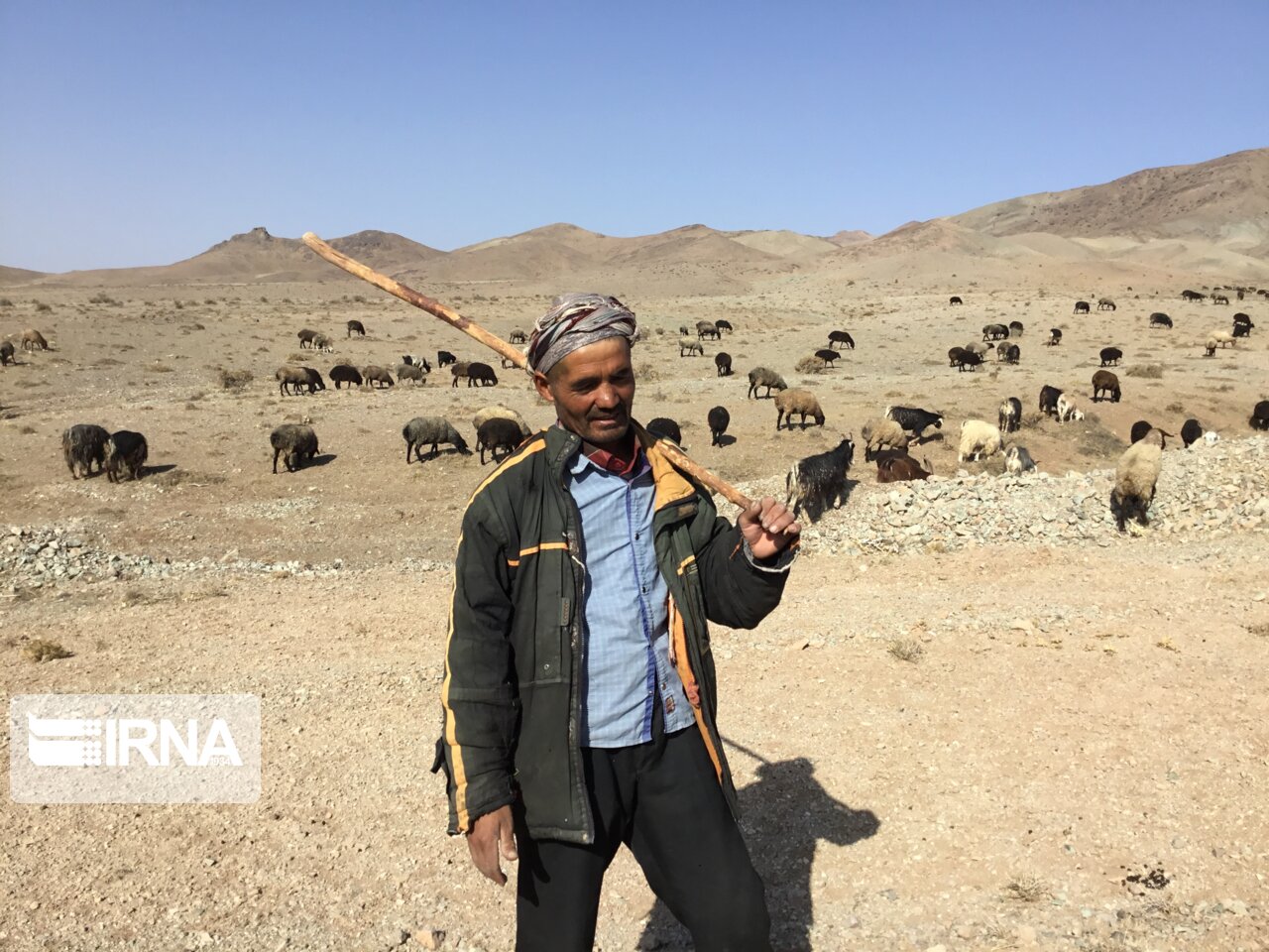 سفر وزیر جهاد کشاورزی به مناطق عشایری شهرستان زرندیه