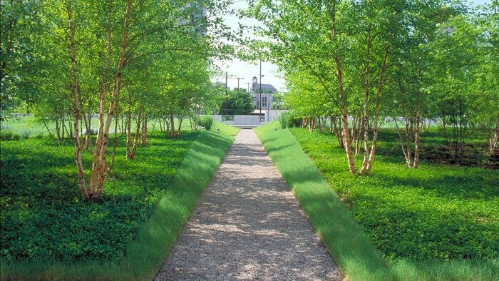 توسعه و حفظ فضای سبز شهر سمنان سالانه ۶۳ میلیارد ریال هزینه دارد