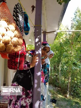 Fête de la noix à Khalkhal ( située dans la province d'Ardabil au nord de l'Iran)