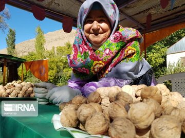 Fête de la noix à Khalkhal ( située dans la province d'Ardabil au nord de l'Iran)