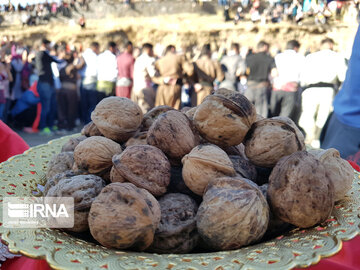 Festival de la prune et de la cuisine locale à Hamedan