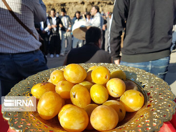 Festival de la prune et de la cuisine locale à Hamedan