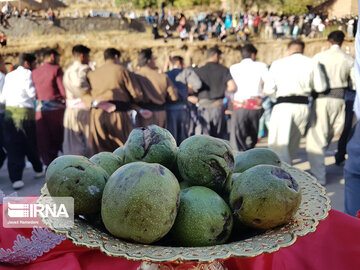 Festival de la prune et de la cuisine locale à Hamedan