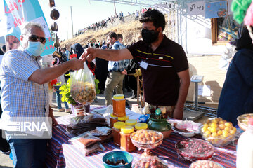 Festival de la prune et de la cuisine locale à Hamedan