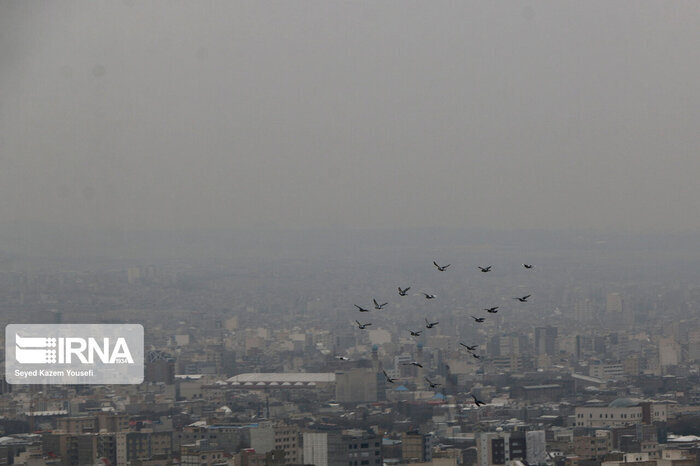 UN vows to collaborate with Iran in fighting negative impact of sand, dust storms 