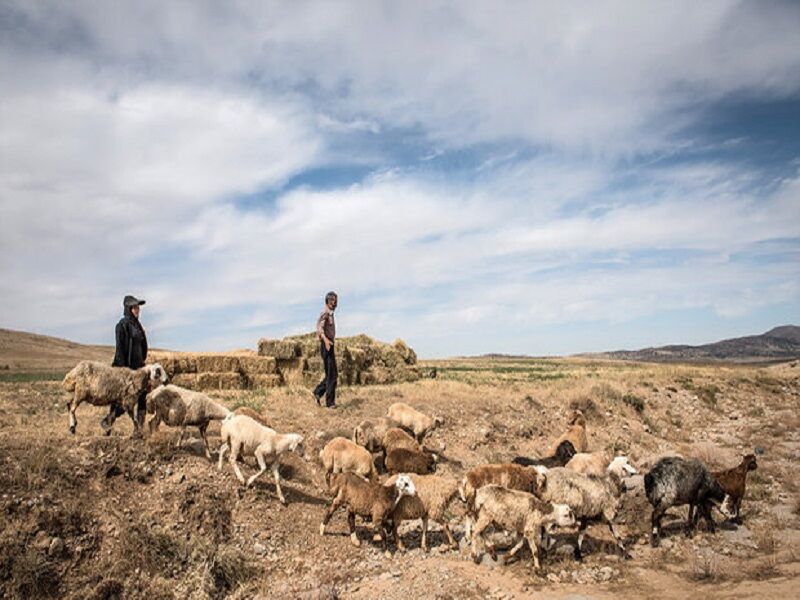 عشایر خراسان رضوی در جدال با خشکسالی