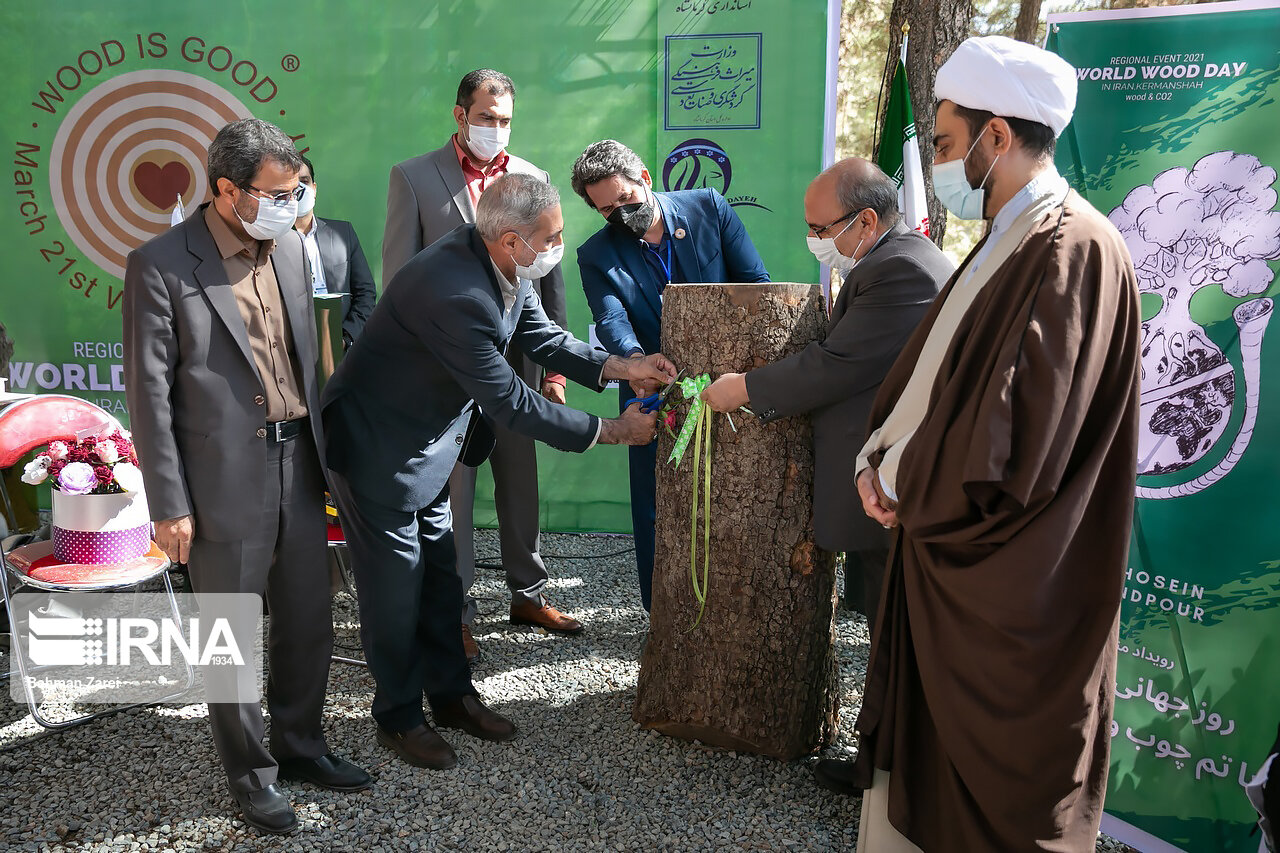 دومین رویداد بین‌المللی «چوب» در کرمانشاه آغاز شد