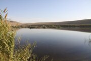 حال خوش تالاب «کانی برازان» مهاباد، بهشت پرندگان ایران
