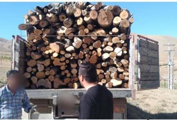 بیش از ۶۲ تن چوب قاچاق در مریوان کشف و ضبط شد