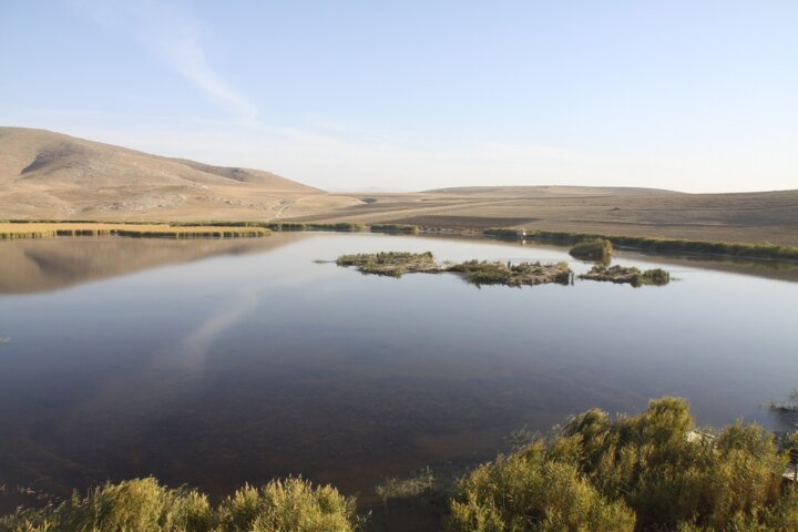 احیای بهشت پرندگان ایران نتیجه تدبیر به موقع مسوولان 