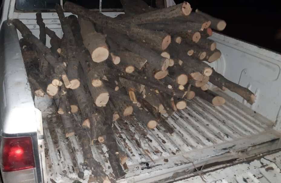 قاچاقچیان چوب جنگلی مامور یگان منابع طبیعی خانمیرزا را زخمی کردند