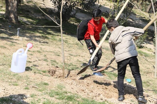 زَنگِ درختکاری در مدارس فارس؛ از کاشت نهال تا درس طبیعت‌دوستی