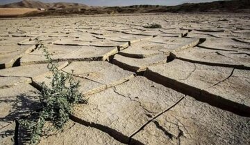 سطح آب سفره‌های زیرزمینی استان زنجان سالانه ۸۰ سانتیمتر کاهش می‌یابد