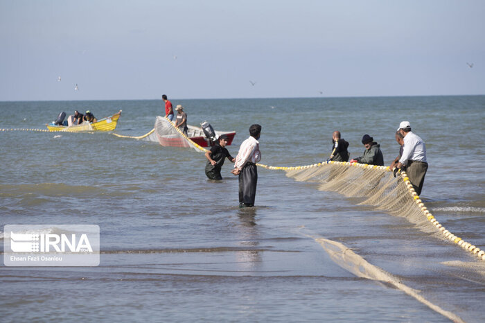 صید ماهیان استخوانی در دریای مازندران افزایش یافت