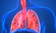کارشناس بیماریهای واگیر: بیماری سل در بیش از ۸۰ درصد موارد ریه ها را مبتلا می کند 