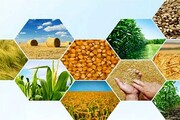 ۱۳۳ میلیون تن محصولات کشاورزی و دامی سال گذشته در کشور تولید شد