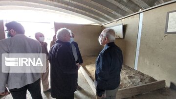 UNESCO inspectors visit Hegmataneh in west Iran