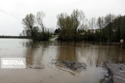 هواشناسی مازندران نسبت به سیلابی شدن رودخانه‌ها هشدار داد