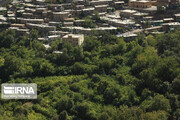  سطح زیر کشت باغات شهرستان کهک قم یک‌هزار و ۵۰۰ هکتار است