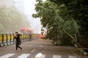 هشدار مدیریت بحران تهران/ تداوم باد شدید در روزهای شنبه و یکشنبه پایتخت