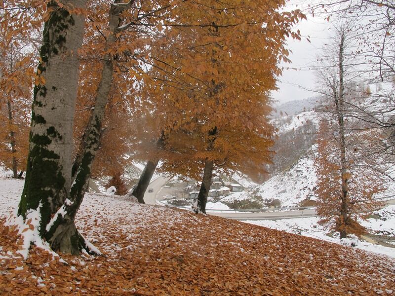 برف و یخبندان محورهای کوهستانی رضوانشهر در غرب گیلان را فراگرفت