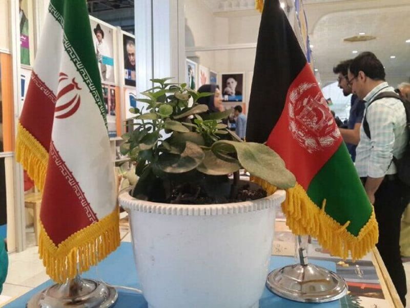 همبستگی هنرمندان ایرانی و افغانستانی موجب تعالی هنر اسلامی می‌شود