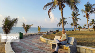 Keşm Adası Zeytin Parkı