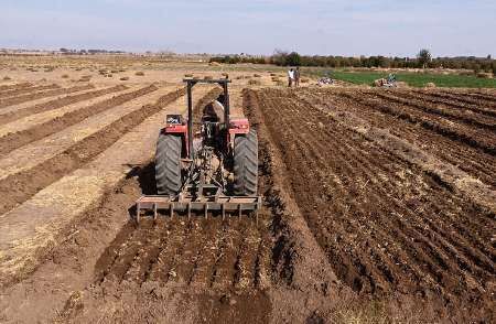 سطح اجرای طرح جهش تولید در دیمزارهای مراغه ۲ برابر شد