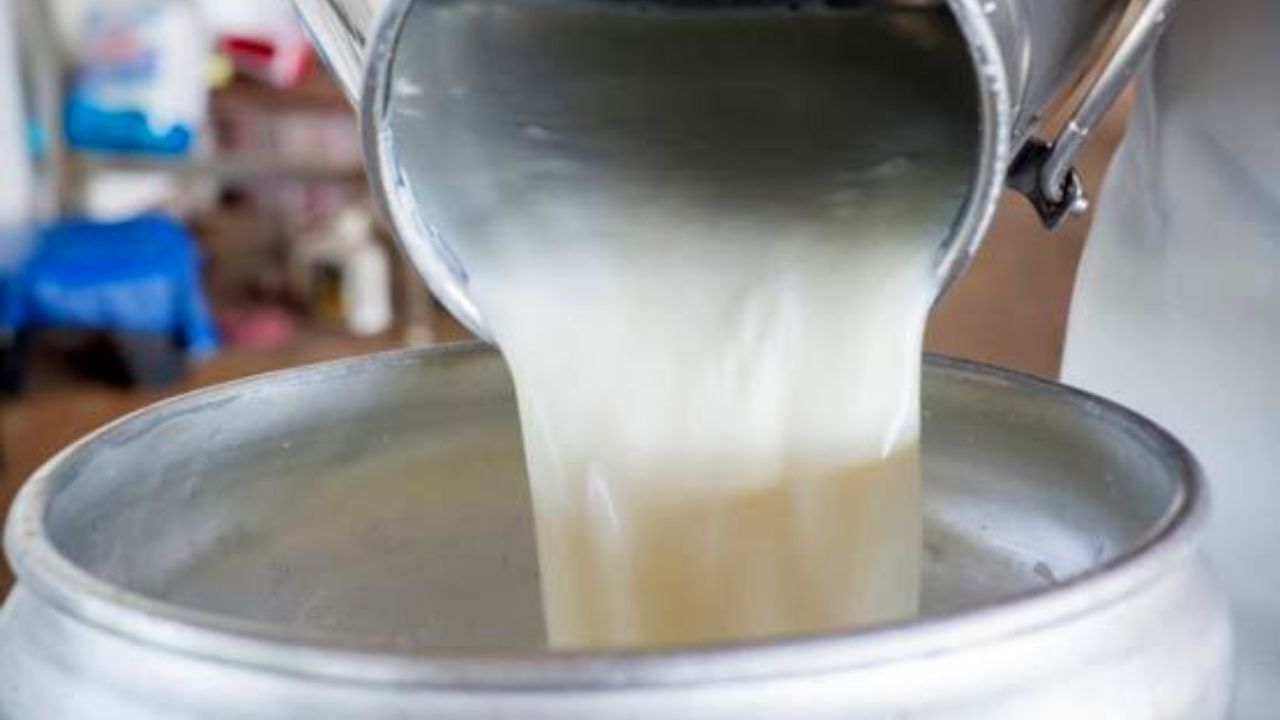 گرانی شیر مربوط به مشکلات نهاده دامی است