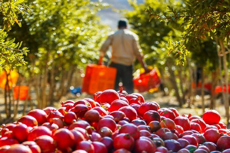 خبرهای کوتاه از استان اصفهان