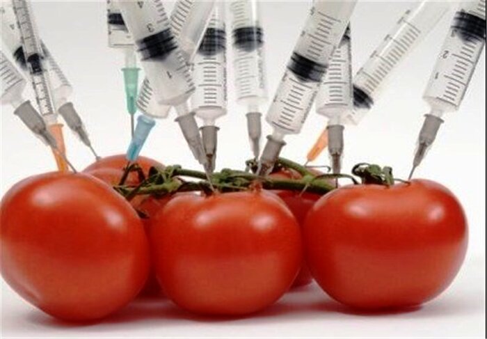 خطر اگروتروریسم در اقتصاد را جدی بگیریم