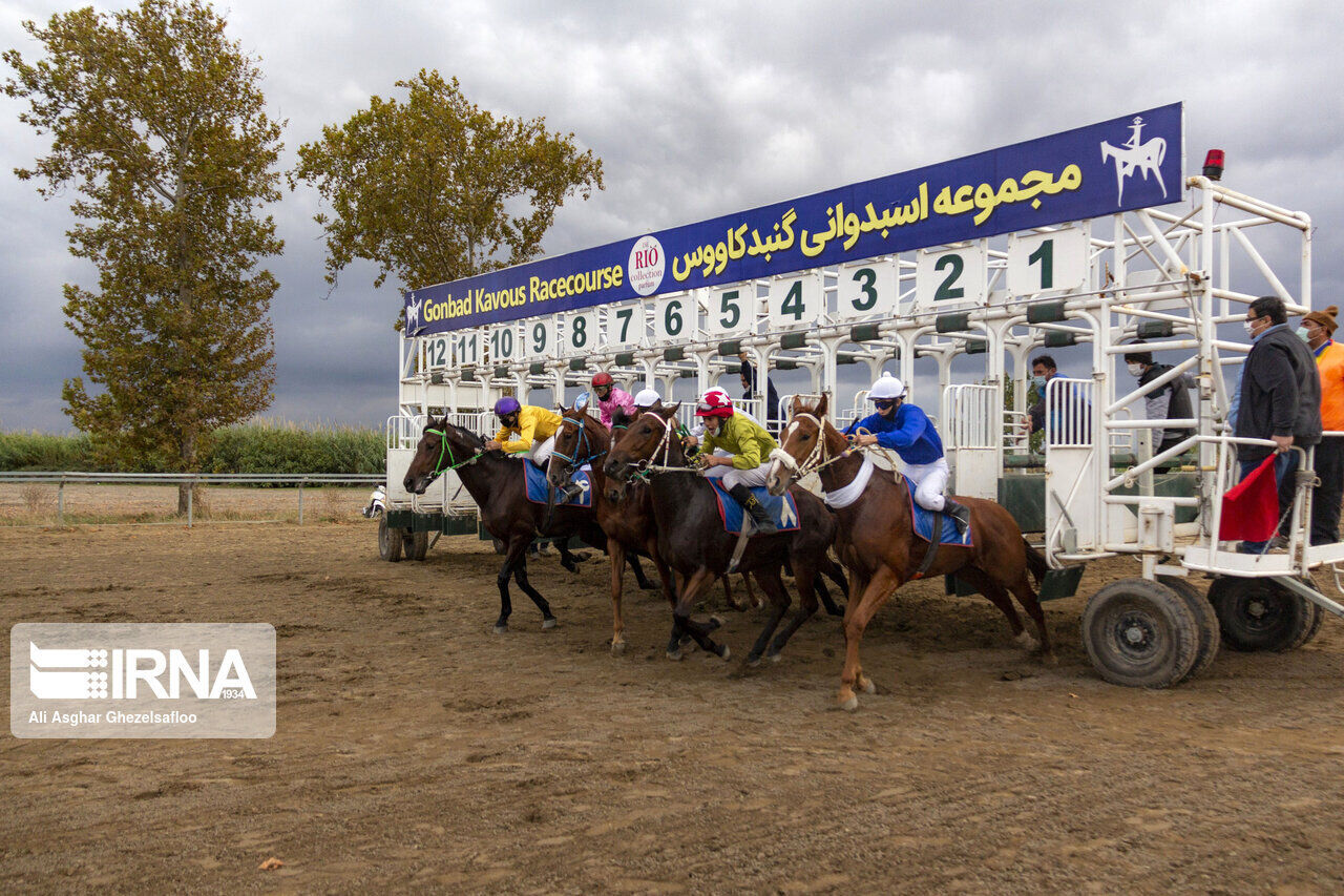 رقابت 142 راس اسب در هفته هفدهم کورس گنبدکاووس