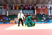Iran's Yong Modo team runner-up in world 's martial contests