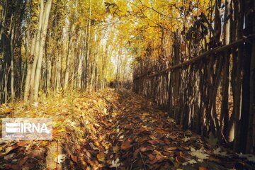 La belle nature d'automne dans les vallées d'Alvand (Hamedan)