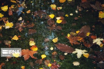 La belle nature d'automne dans les vallées d'Alvand (Hamedan)