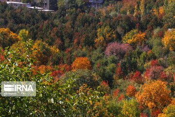 La belle nature d'automne dans les vallées d'Alvand (Hamedan)