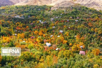 La belle nature d'automne dans les vallées d'Alvand (Hamedan)