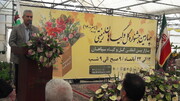 L'Iran a le potentiel d'exporter 10 milliards de dollars de fleurs et de plantes