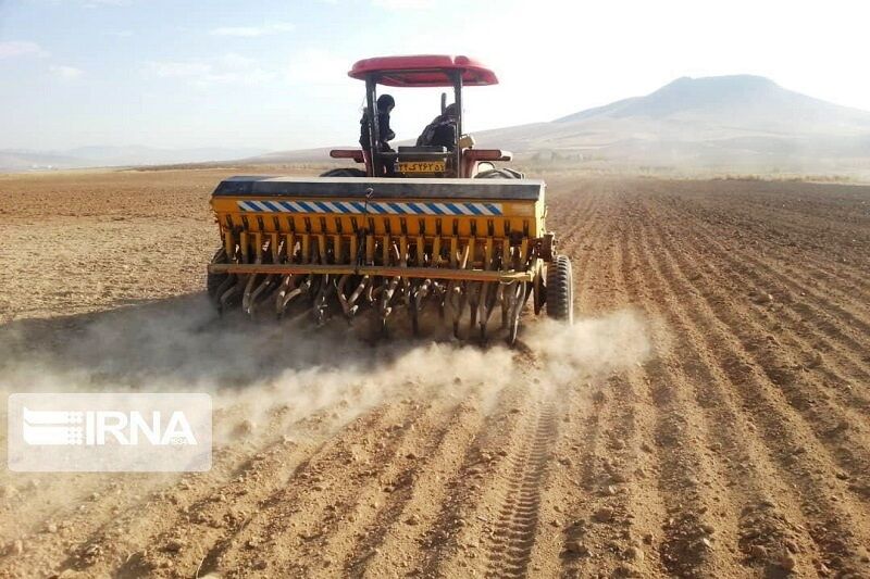 بیش از ۲۵ هزار هکتار جو در کردستان کشت شد