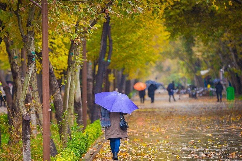 بیجار بارانی‌ترین شهر کردستان در شبانه روز گذشته بود