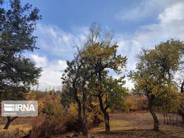 Autumn in northwest Iran