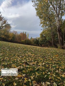 Autumn in northwest Iran