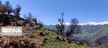 Autumn in northwest Iran