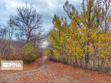 Autumn in northwest Iran